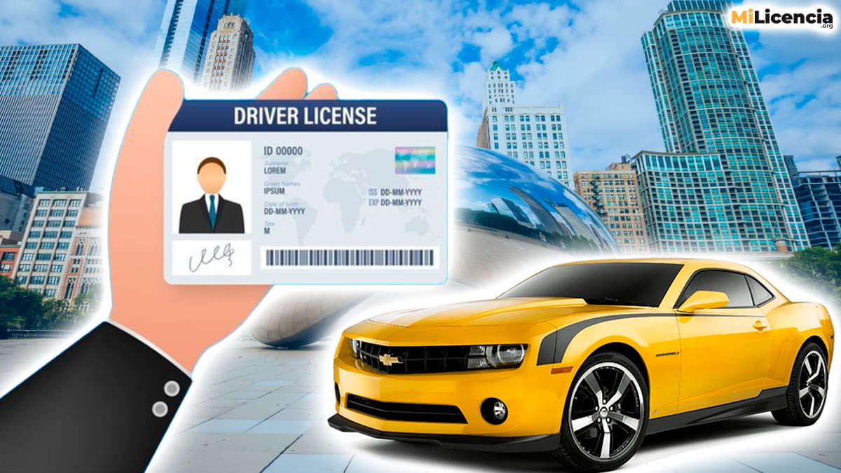 licencia de conducir en illinois para indocumentados